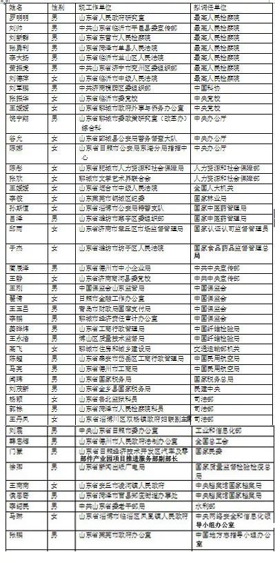 中央最新领导干部名单解读与分析，涉政问题的深度探讨