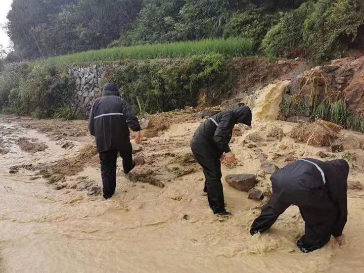 最新台风动态及影响分析