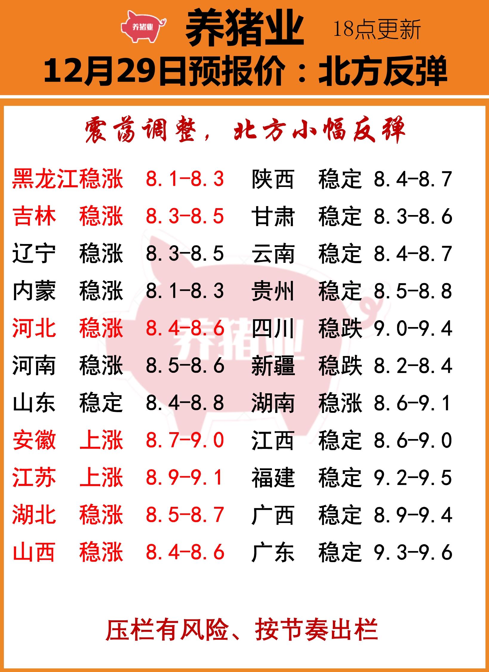 今日铜价行情更新，市场走势分析与展望