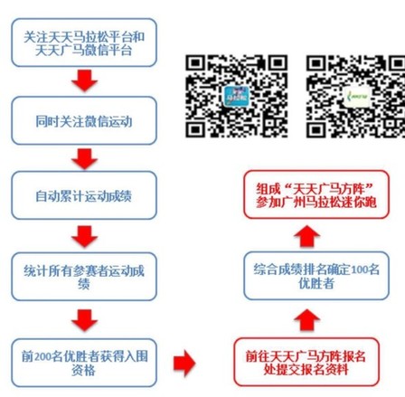 澳门天天开马结果出来318期,实用性执行策略讲解_特别版2.336