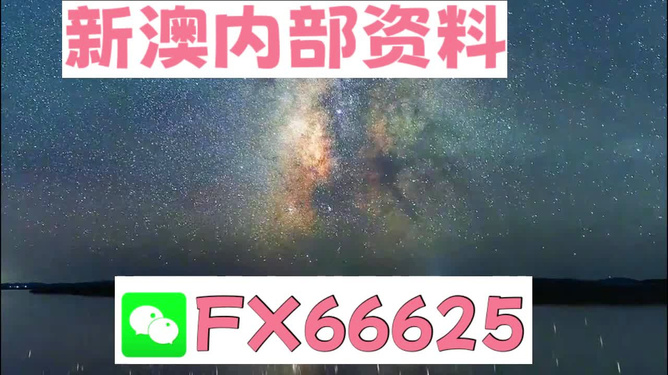 新澳天天彩资料免费大全,重要性解释落实方法_Harmony45.926