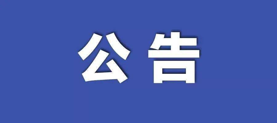 政策动向与社会发展趋势深度解析