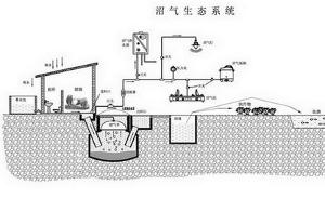 最新沼气技术展望与应用前景探究