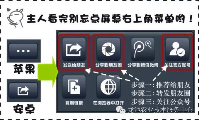 2024年管家婆正版资料,平衡策略指导_MT10.633