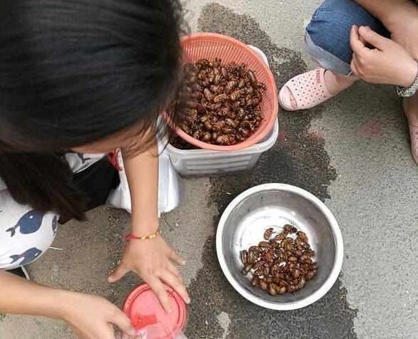 探索最新美食潮流，揭秘2017年热门菜谱的魅力