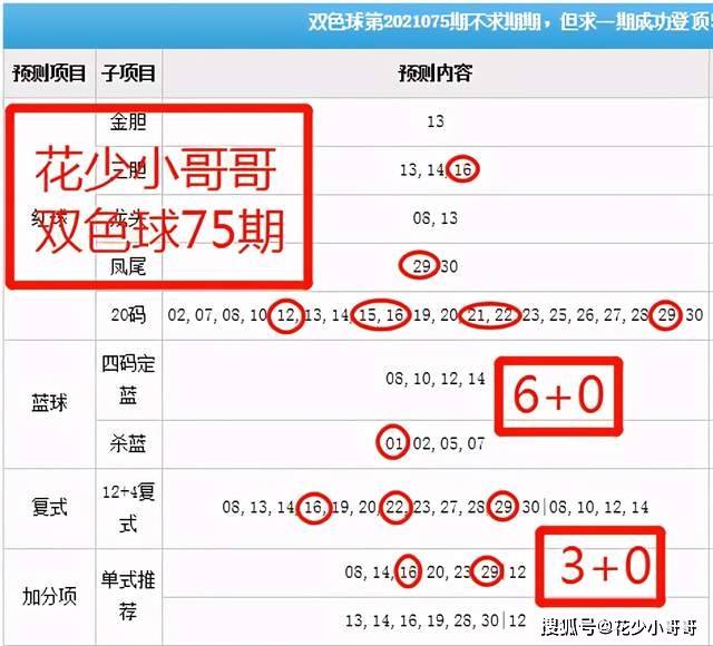 2024年11月4日 第56页