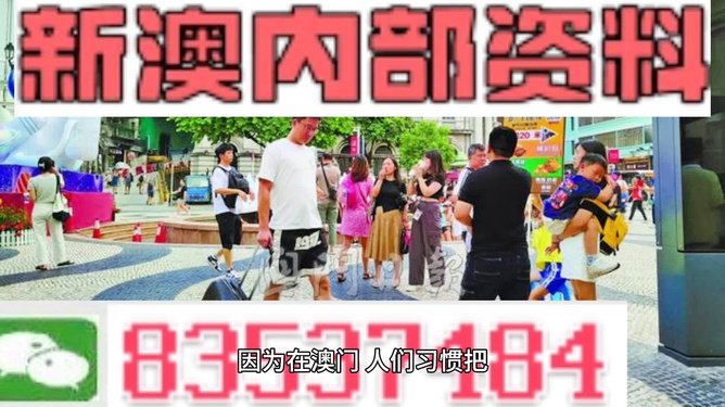 2024年新澳门特免费资料大全,前瞻性战略定义探讨_vShop85.366