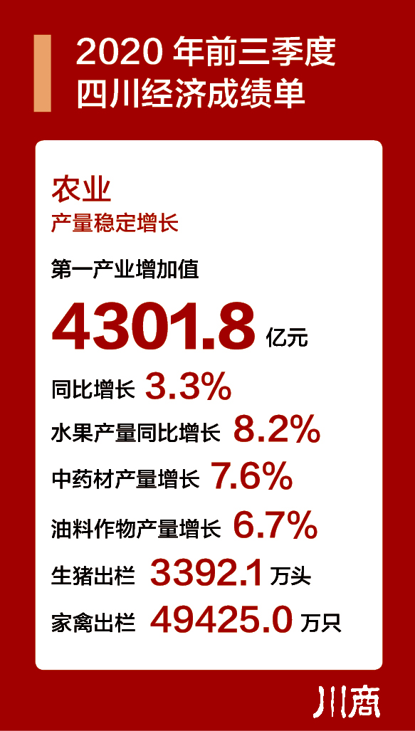 2023管家婆资料正版大全澳门,广泛的关注解释落实热议_增强版8.317