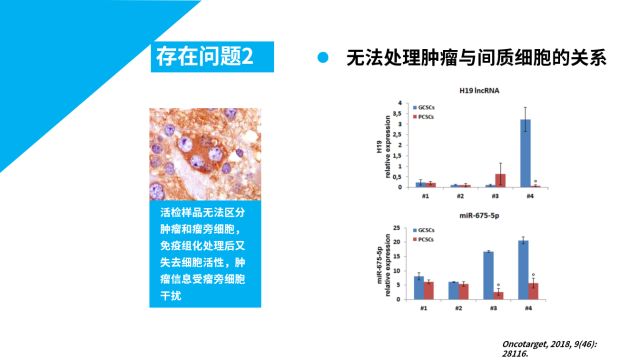 新澳精准资料免费提供网站,定量解答解释定义_专家版45.269