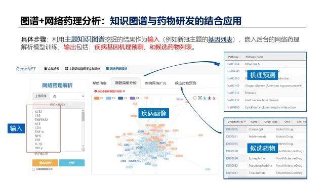 新澳精准资料免费提供最新版,调整方案执行细节_win305.210