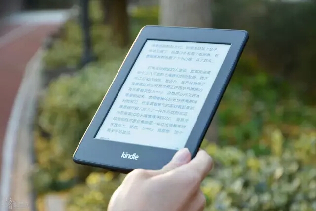 新澳精准资料免费提供,调整方案执行细节_Kindle72.893