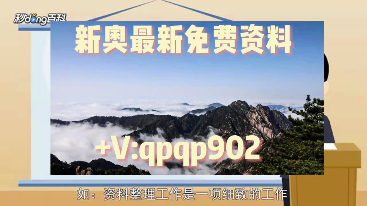 正版资料免费资料大全十点半,时代说明评估_KP26.304