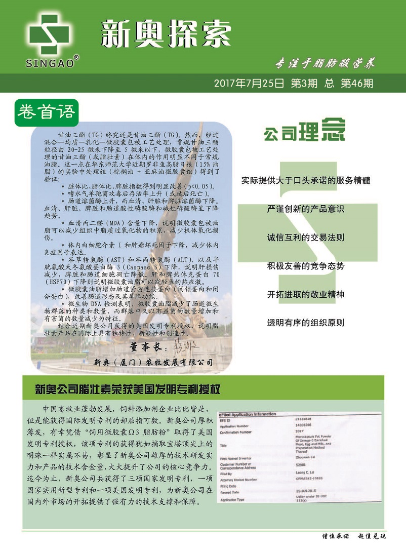 新奥今天开的什么,准确资料解释落实_游戏版256.183