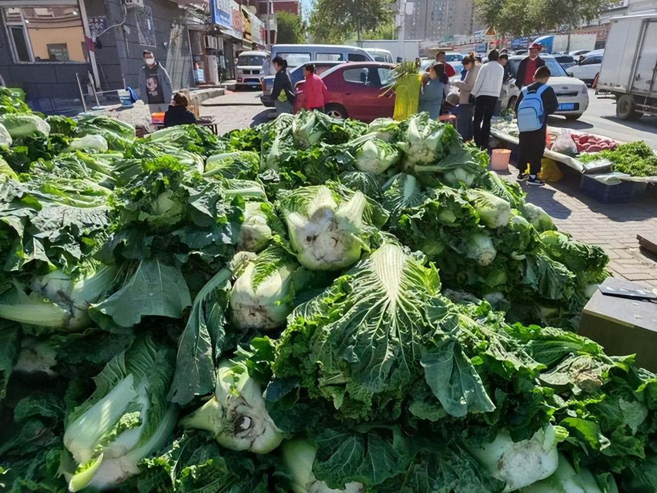 芸豆最新价格动态，市场走势、影响因素与未来趋势分析