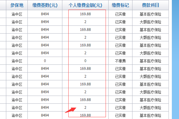 最新社保查询，便捷实时保障个人权益