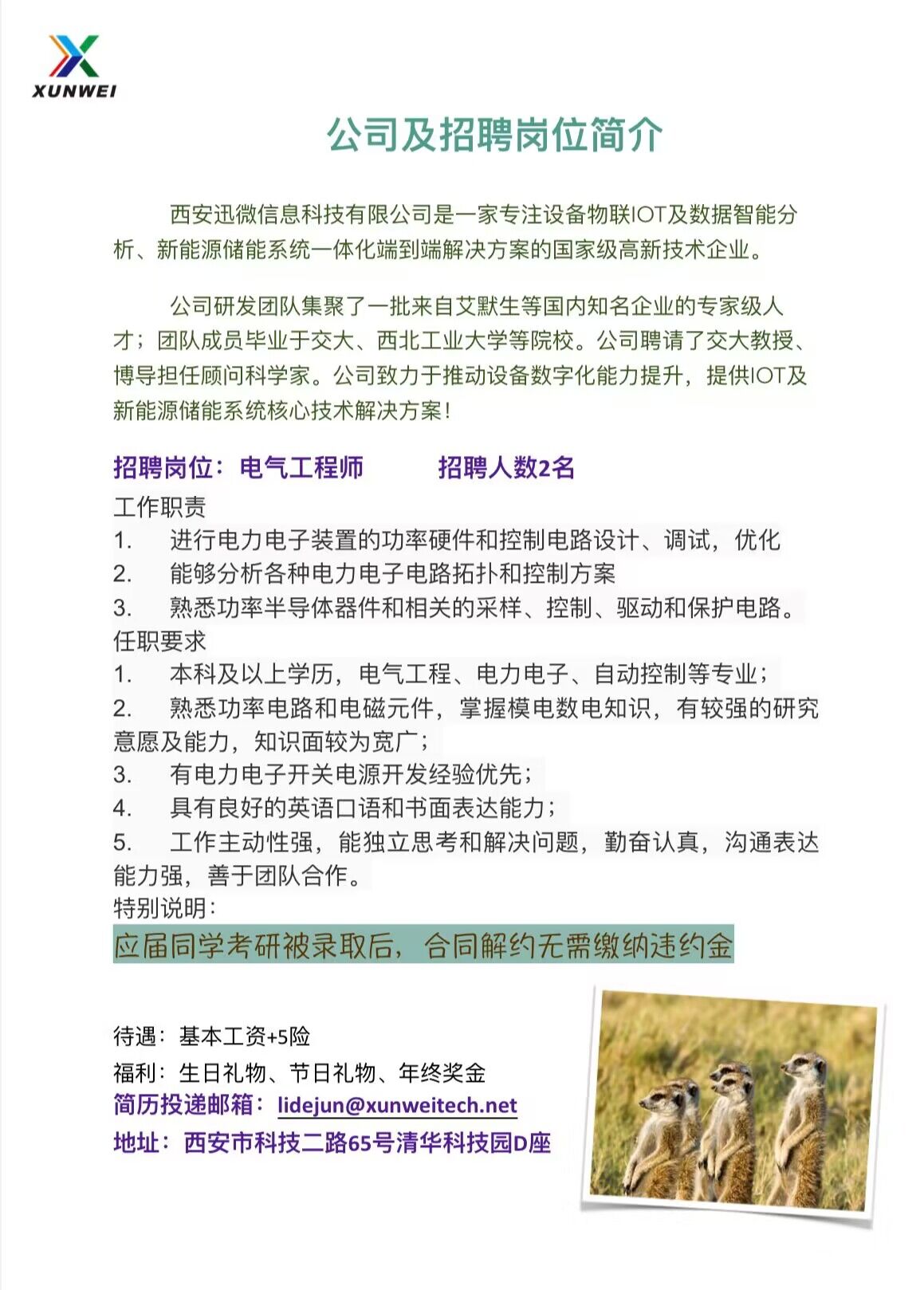 防雷招聘最新动态，行业趋势及人才需求深度解析