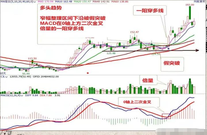 2024年11月12日 第7页