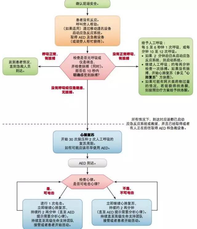 最新CPR指南，拯救生命的最新指导原则概览