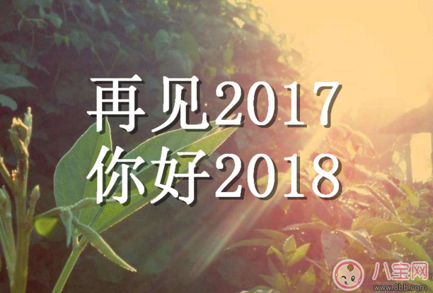 2017年最新趋势与发展动向解析