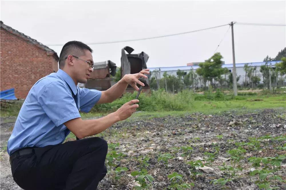 界首市人民政府办公室领导团队全新亮相，未来工作展望与战略规划