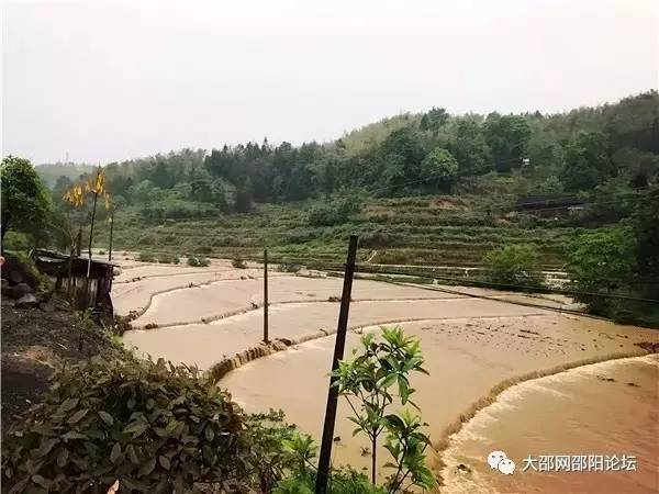 里山彝族乡盐井镇天气预报更新