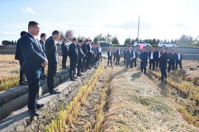 八五七农场新项目引领农业现代化新征程