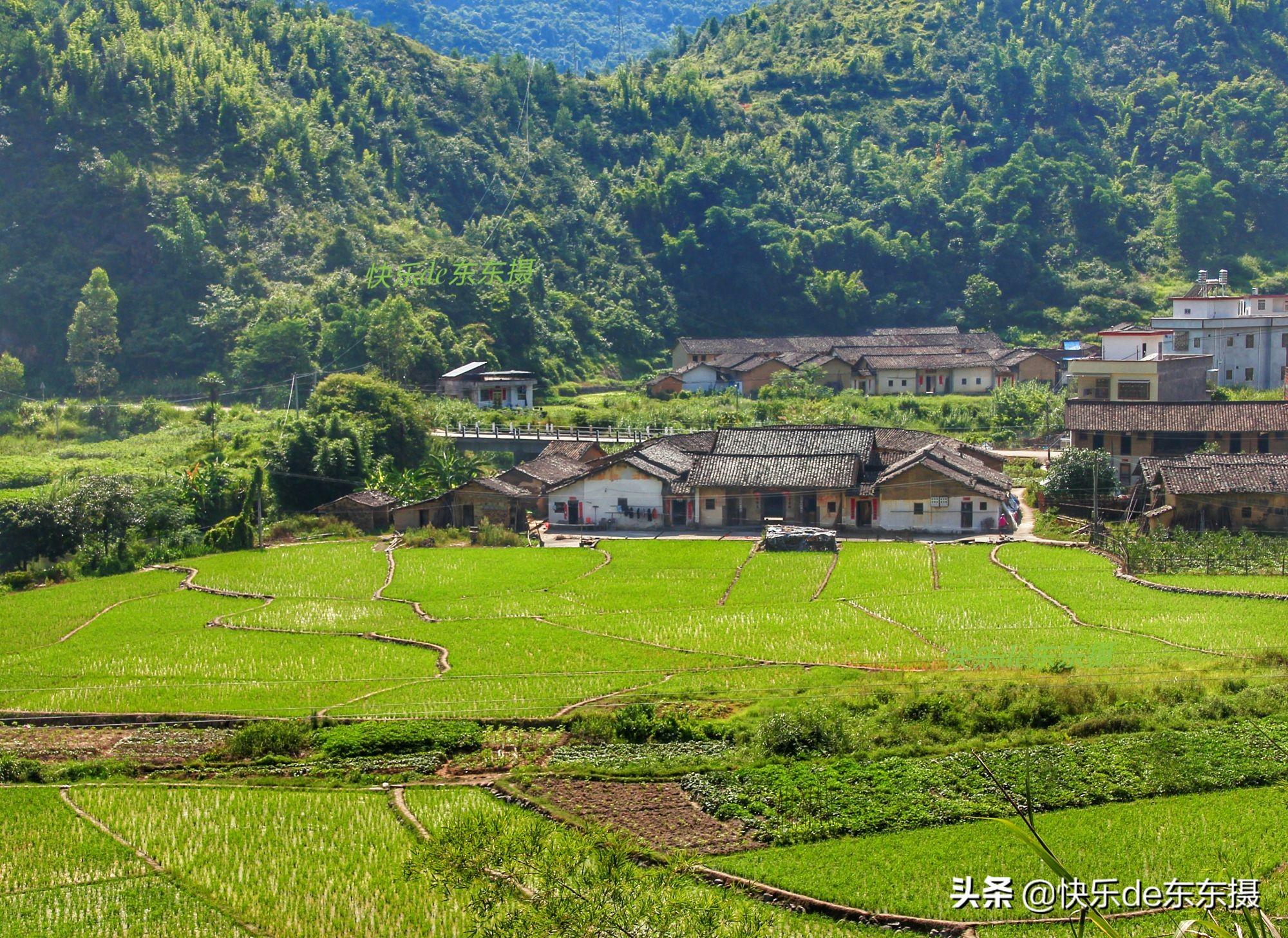 北溪村乡发展规划揭秘，走向繁荣与和谐的新蓝图