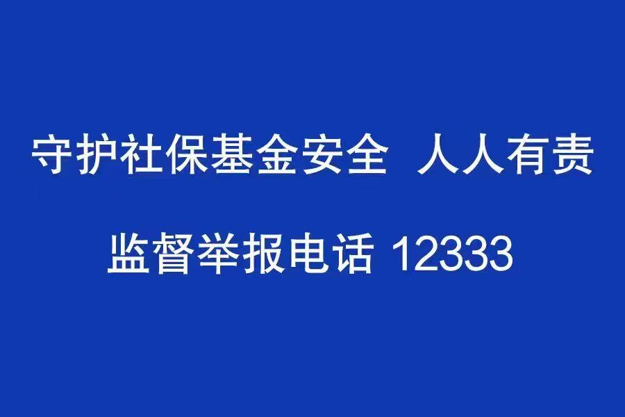 勐腊县人力资源和社会保障局新项目助力县域经济高质量发展