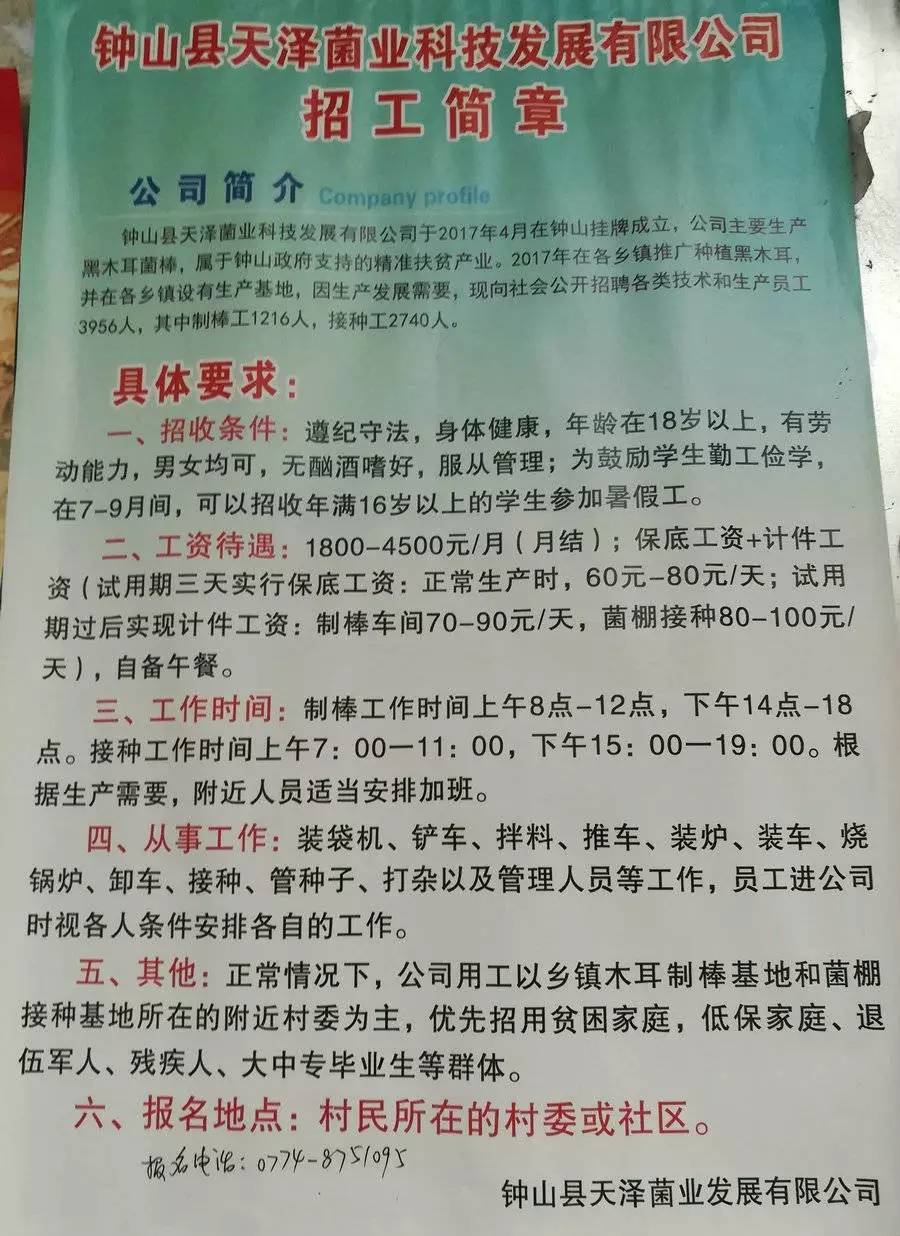 仲沙村最新招聘信息汇总