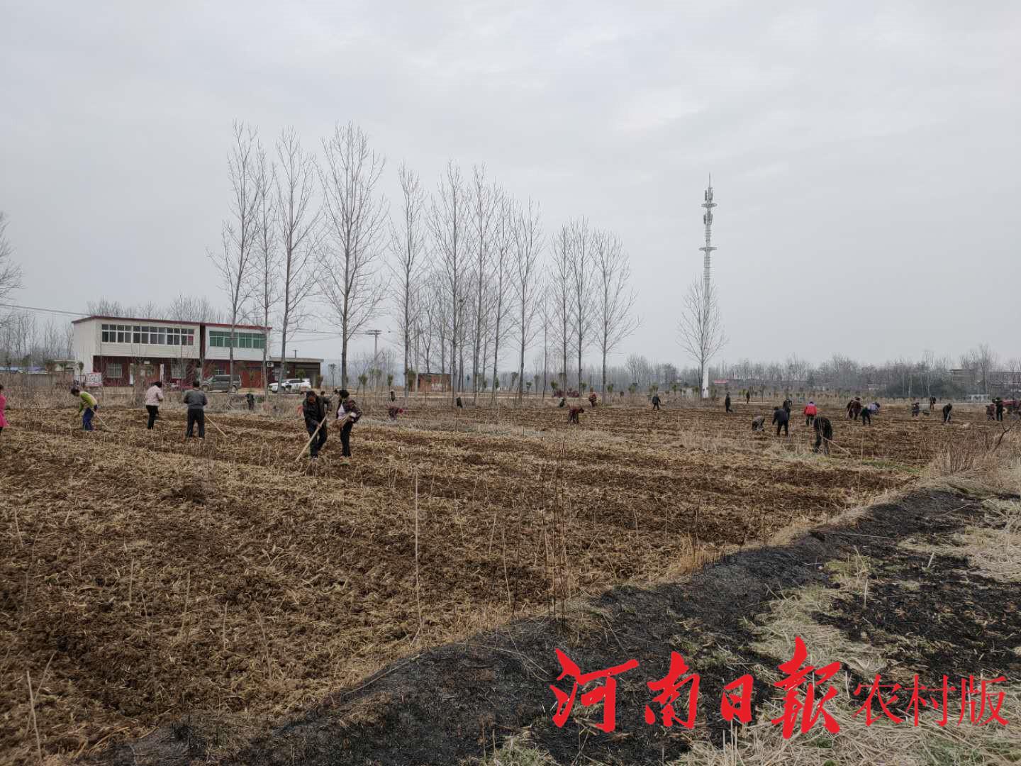 平桥区防疫检疫站最新动态报道