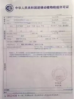 普兰店市防疫检疫站人事任命动态与深远影响的探讨