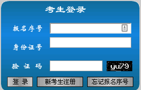 2024年12月11日 第11页