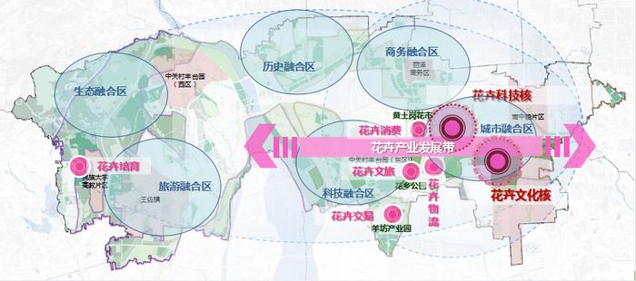 2024年12月15日 第7页