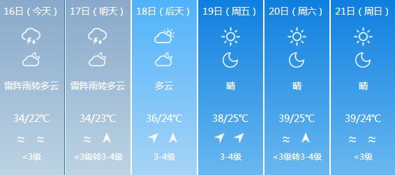 2024年12月17日 第29页