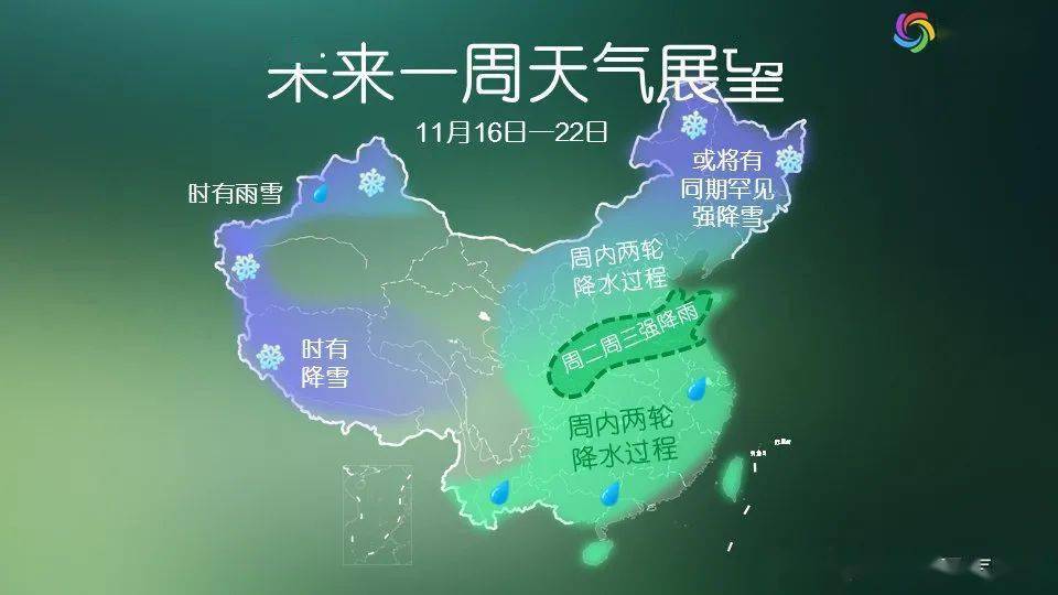 2024年12月17日 第26页