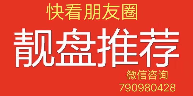 2024年12月18日 第15页