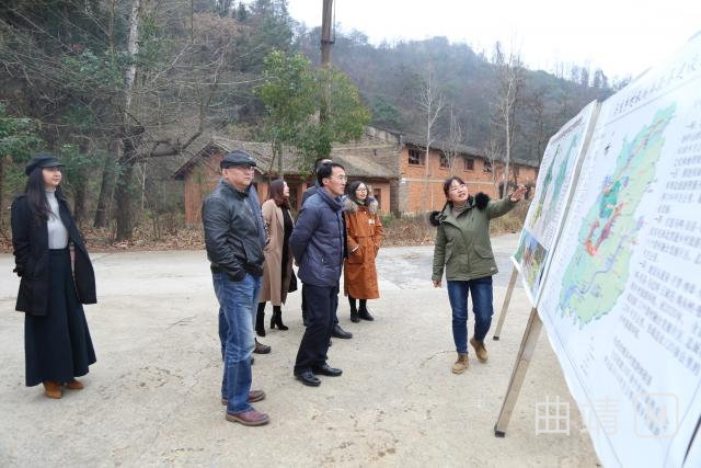 马龙县文化广电体育和旅游局最新动态报道