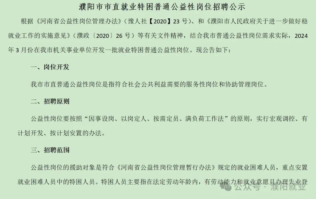 濮阳县数据和政务服务局招聘公告详解