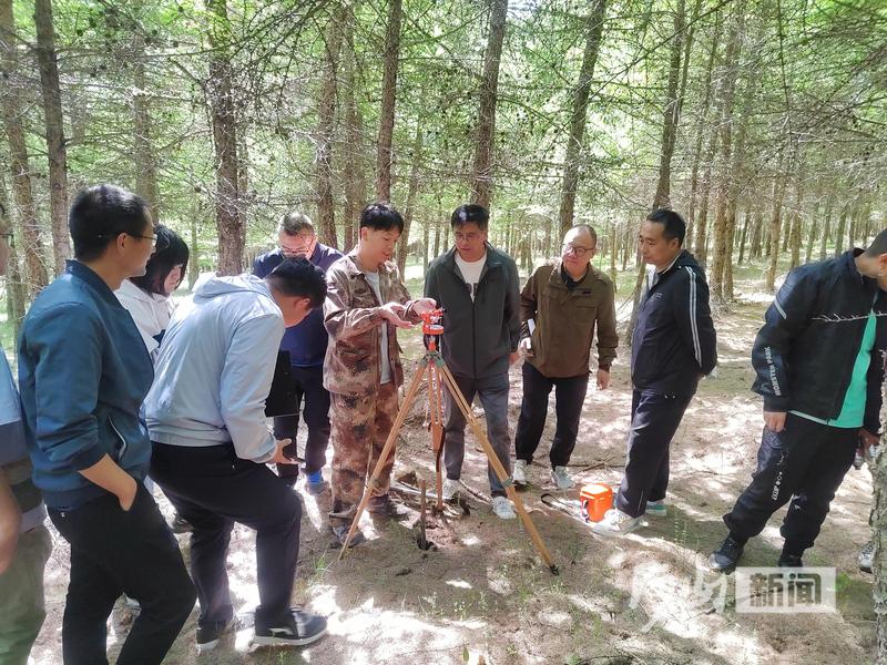 石羊河林业总场小西沟林场最新资讯动态